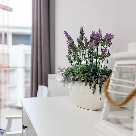 Apartamento Pinea *
